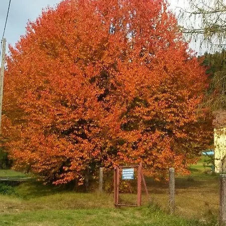 Cypisowka